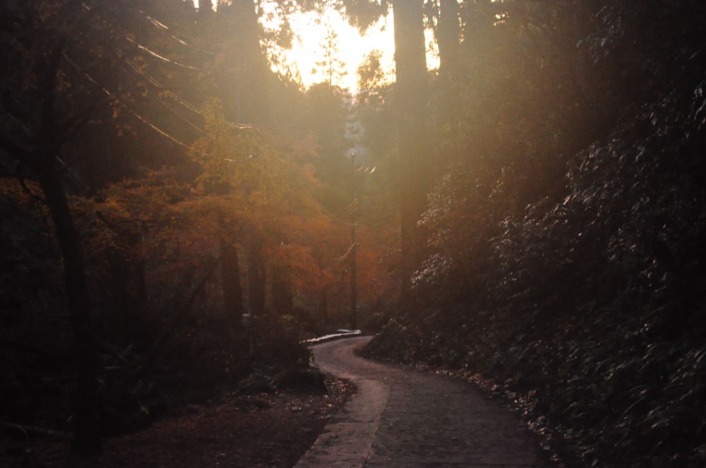 登山道入り口付近